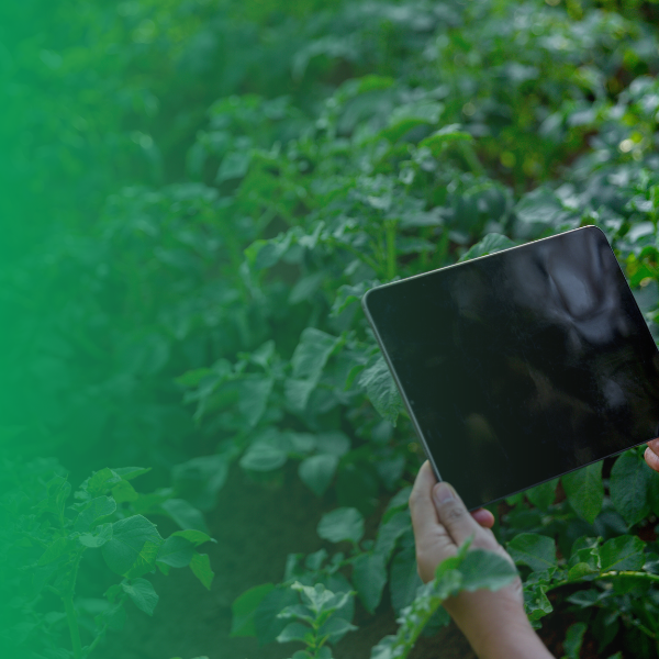 Siatec - Trasformazione Digitale - Contattaci